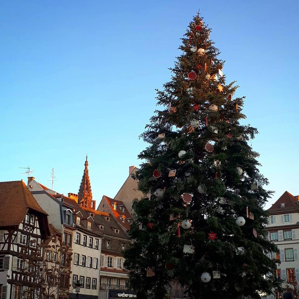 Premiere Classe Strasbourg Sud - Illkirch Dış mekan fotoğraf
